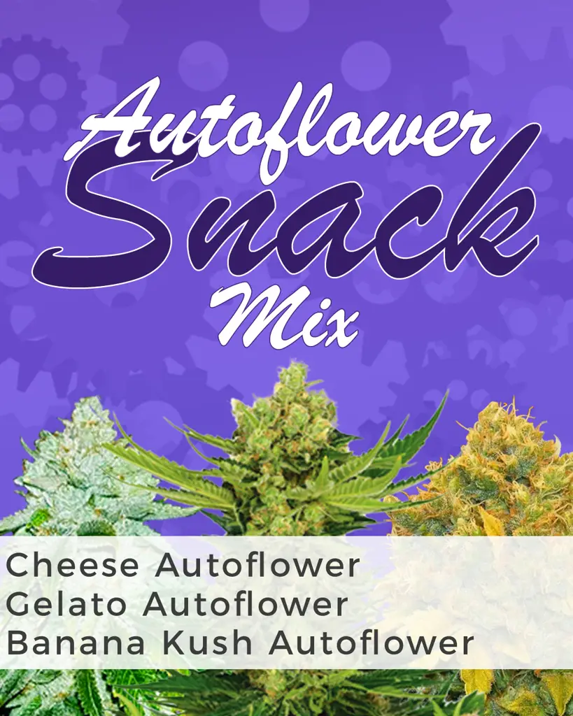 Autoflower Snack Mix