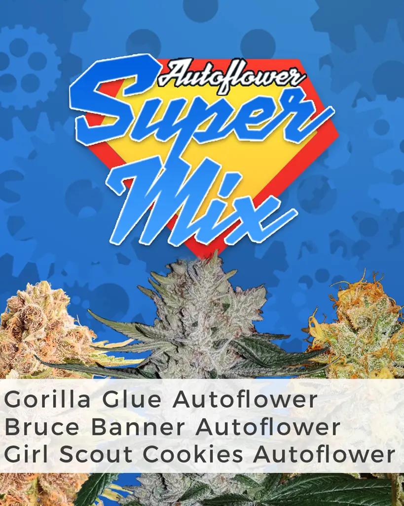 Autoflower Super Mix