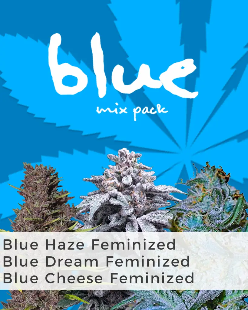 Blue Weed Mix