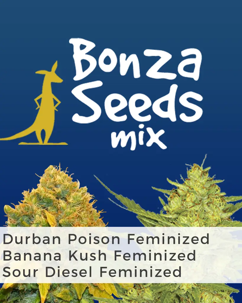 Bonza Seeds Mix