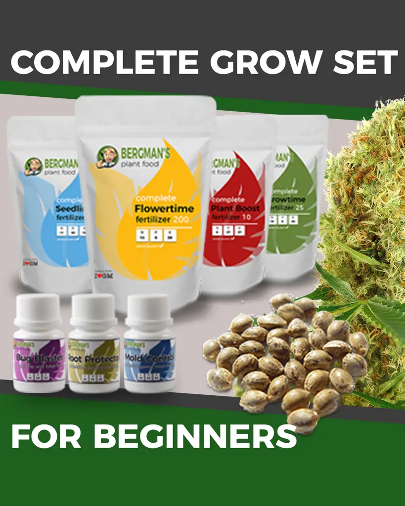 Marijuana Grow Kit - Beginners