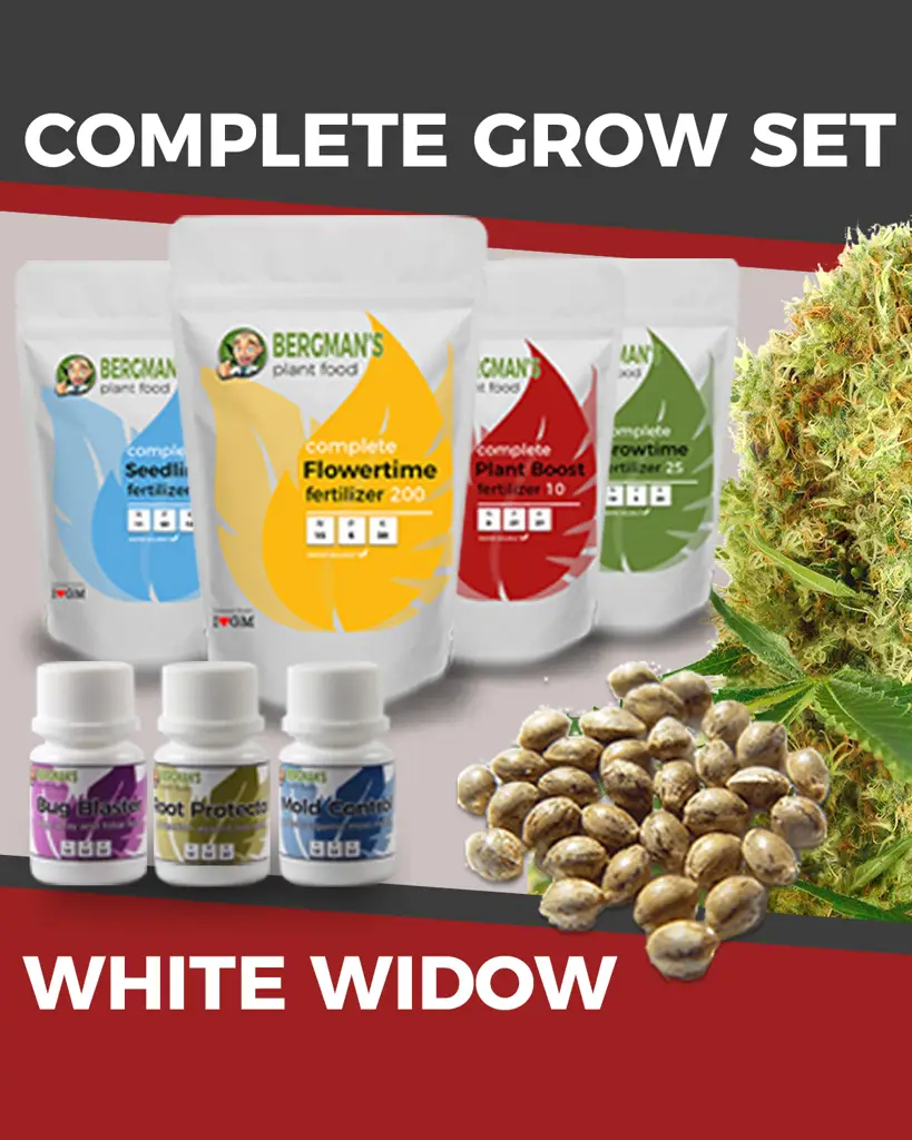 Marijuana Grow Kit - White Widow