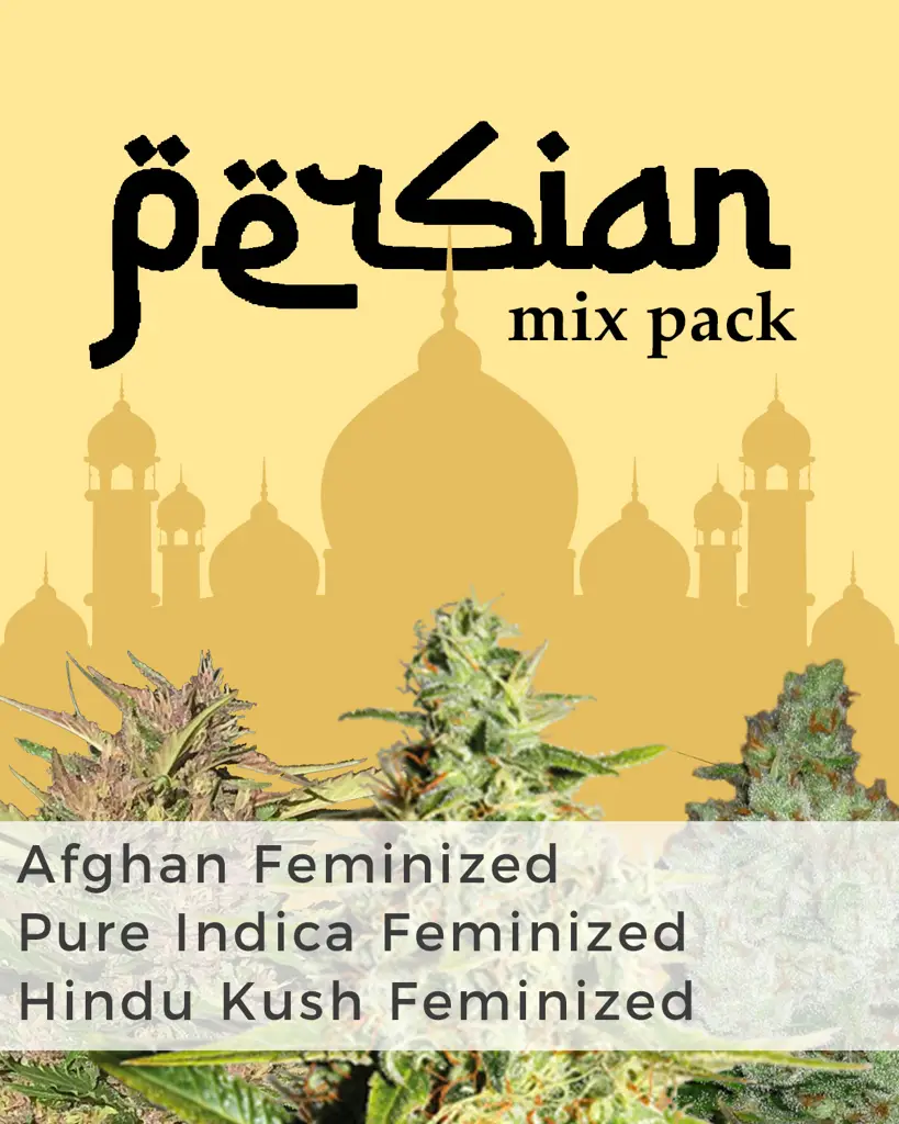 Persian Mix