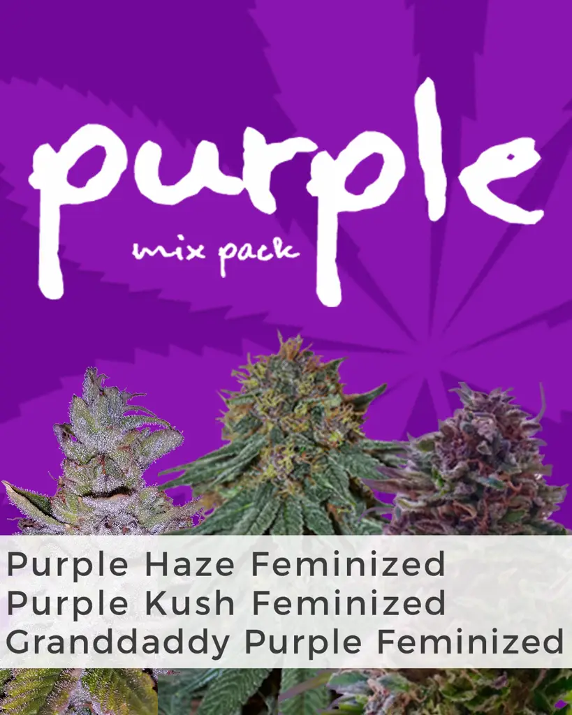 Purple Weed Mix